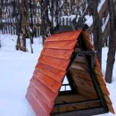 Кормушка для птиц и белок