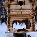 Кормушка- скворечник