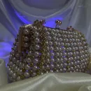 Сумка на Фермуаре