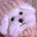 Собачка в кофточке