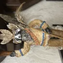 Енот-индеец