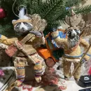 Енот-индеец