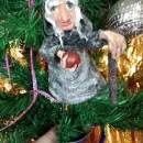 Злая колдунья