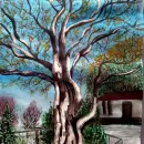 Стамбул. Дерево в парке Томбе Иша.