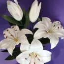 Светильник - ночник Сказка