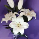 Светильник - ночник Сказка