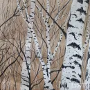 Русские берёзы