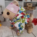 Одежда для собачки Чи Чи Лав