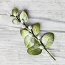 Коллекционная брошь "Ирландский терн" от MICHAEL MICHAUD