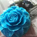 Мыльный цветок