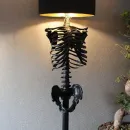 Абажур, плафон