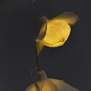 Светодиодная гирлянда