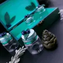 Ведьмин сундучок "Черничный лес"