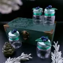 Ведьмин сундучок "Черничный лес"