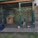 Вольер для собаки