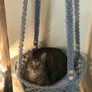 Гамак для питомца