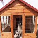 Вольер для собаки