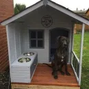 Домик для животных