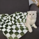 Плед для кошки, собаки