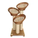 Когтеточки