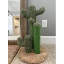 Когтеточки