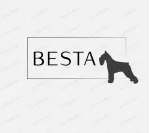 Besta creation