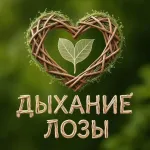 Дыхание лозы