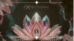 Expectional