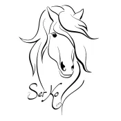 SerKo | Авторские изделия из натуральной кожи