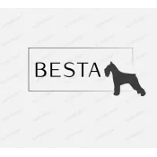 Besta creation