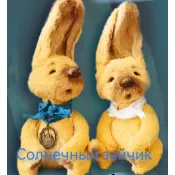 Солнечный зайчик