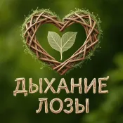 Дыхание лозы