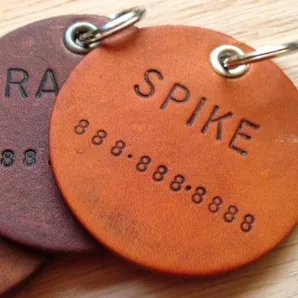 Адресник на ошейник