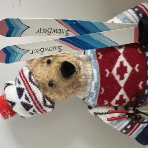 Медведь лыжник