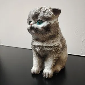 Котик декоративный