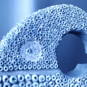 Скульптура "Слон"