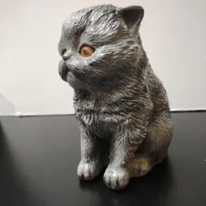 Котик декоративный