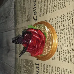 Роза в куполе