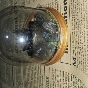 Розы в куполе.