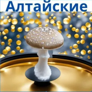 Мухомор пантерный 100г