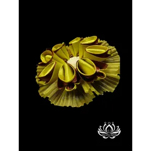 Резинка для волос ручной работы "Фульгида" желтый. Единственный экземпляр. Цветы Канзаши на волосы Ваши.