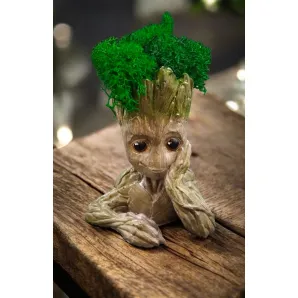 Кашпо "Я есть Грут" со стабилизированным мхом