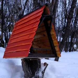 Кормушка для птиц и белок