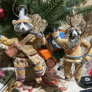 Енот-индеец