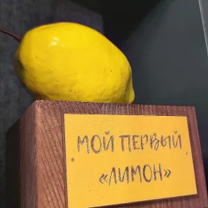 Мой первый лимон