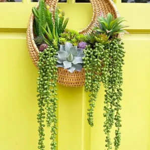 Кашпо подвесное