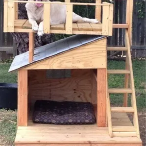 Вольер для собаки