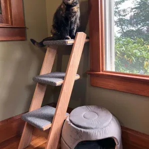 Лесенка для кошки, собаки