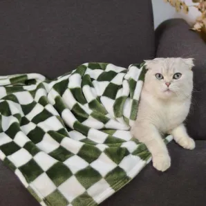 Плед для кошки, собаки