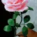Цветок светильник Роза